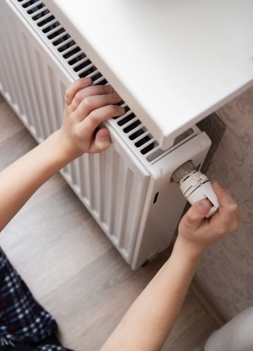 Görsel ALT Başlığı